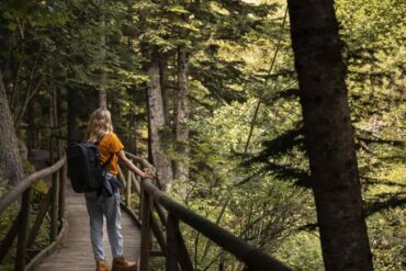 Ragazza di spalle su sentiero di montagna fra gli alberi