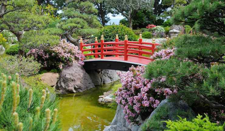 Giardino giapponese con ponte e laghetto
