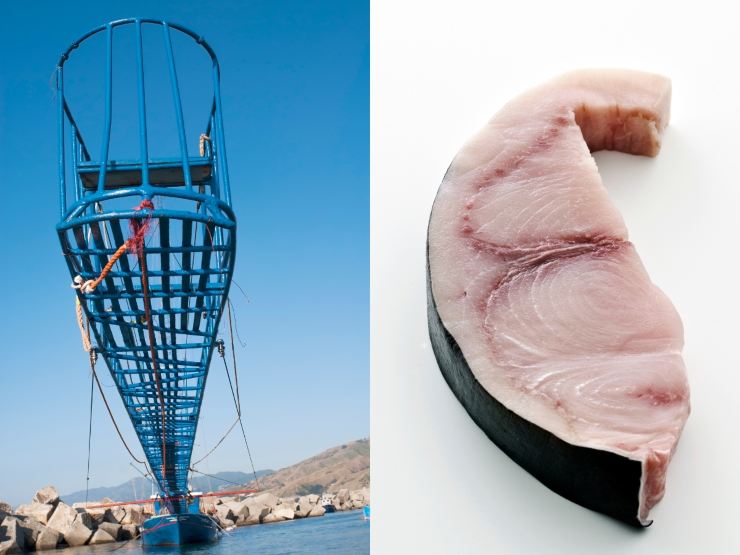 Feluca e trancio di pescespada