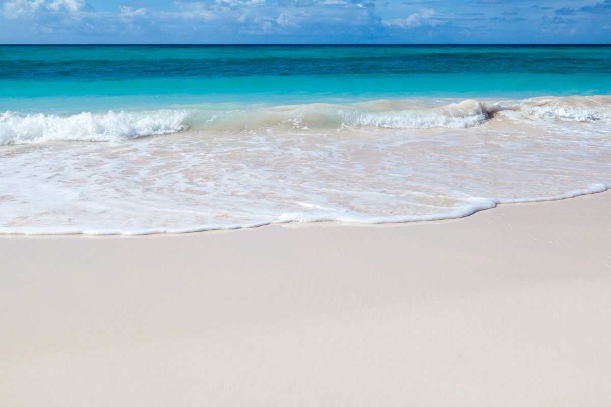 mare