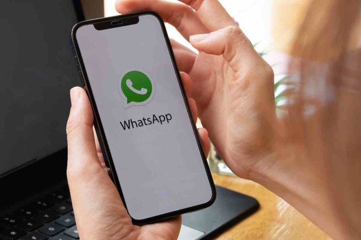 WhatsApp sul cellulare