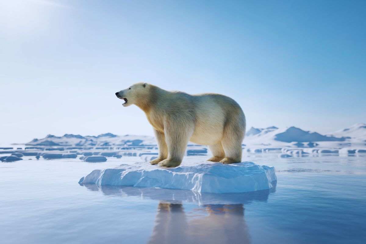 Orso polare sopra pezzo di ghiaccio