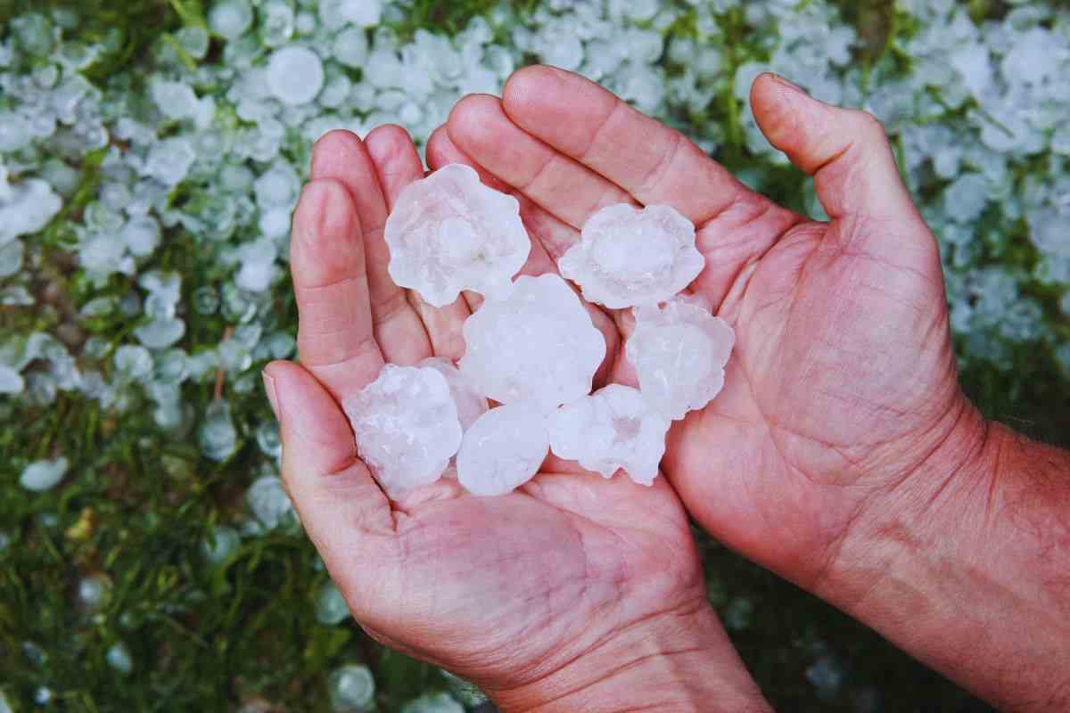 Uomo che tiene tra le mani dei chicchi di grandine