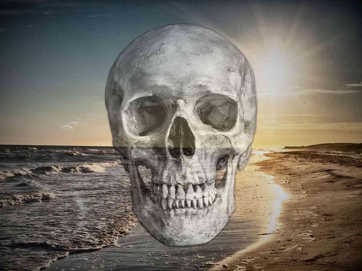 sfondo spiaggia a teschio in trasparenza