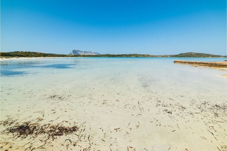 Mare cristallino e spiaggia di sabbia chiara