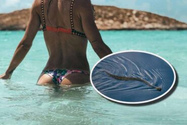 Donna che fa il bagno e un serpente in acqua