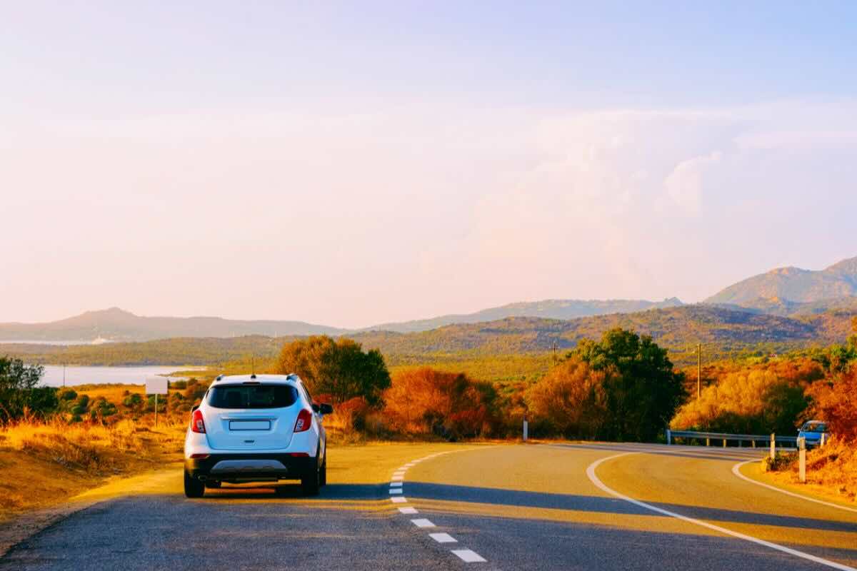 Auto in strada immersa nella natura