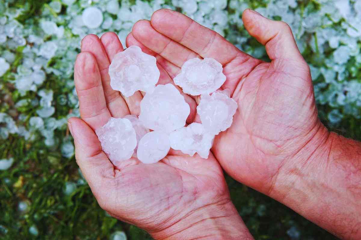Uomo che tiene in mano chicchi di grandine