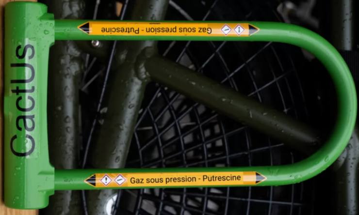 Lucchetto puzzolente