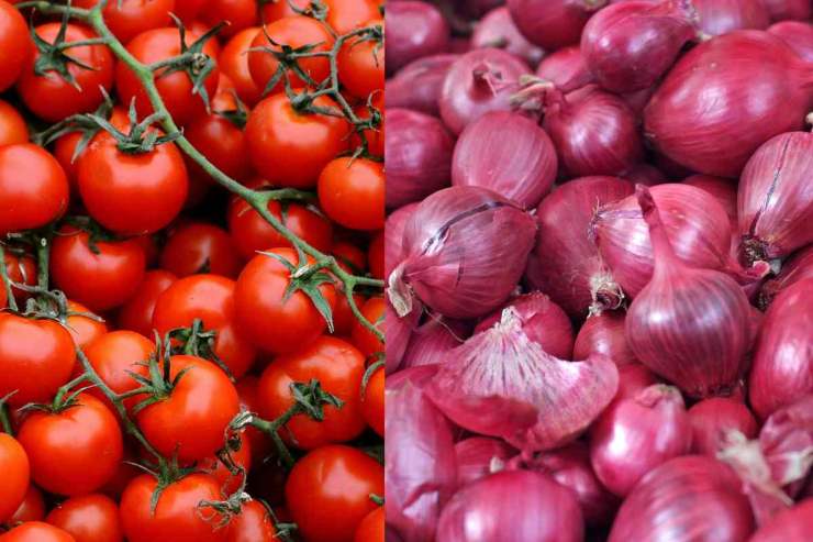 pomodorini e cipolla