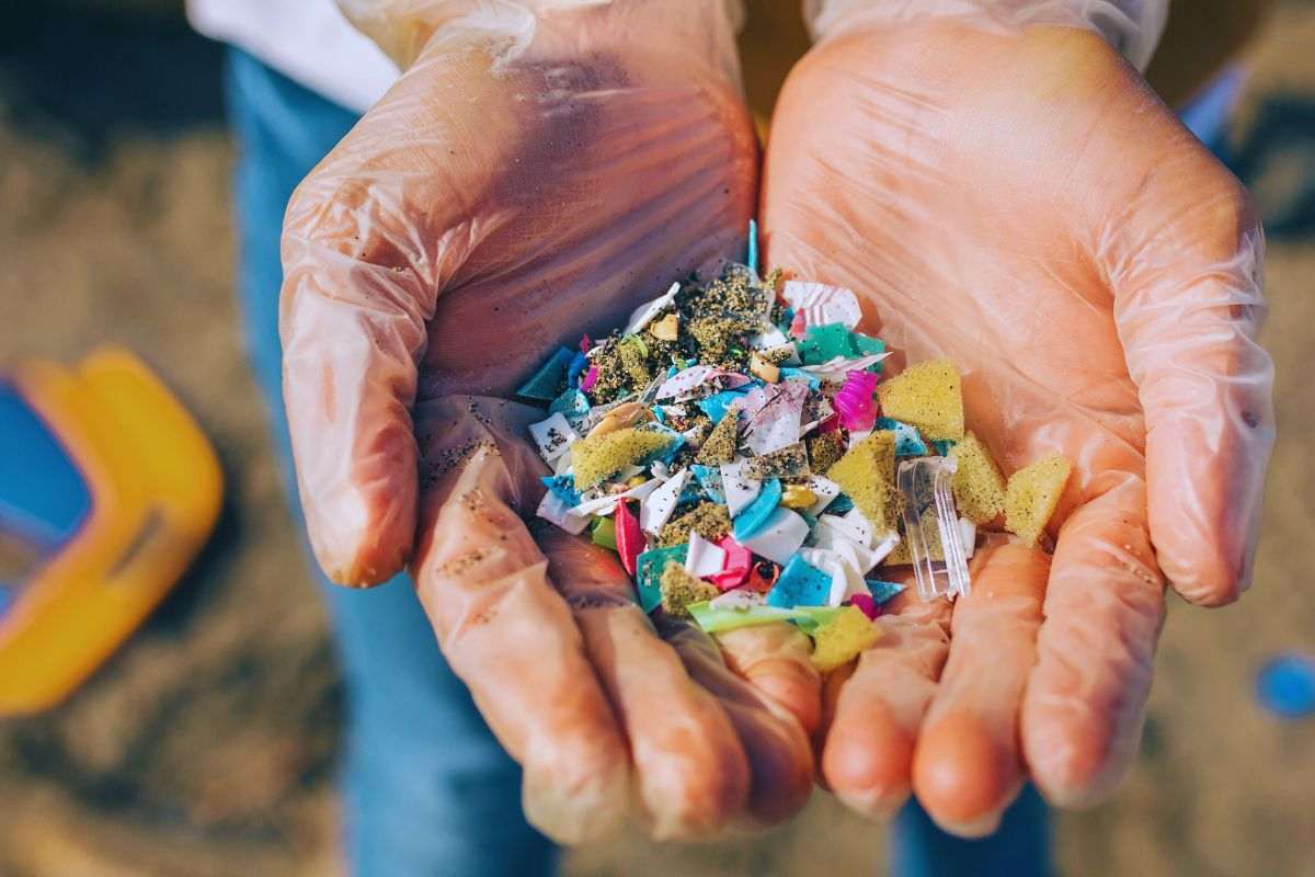 Persona che tiene tra le mani frammenti di plastica