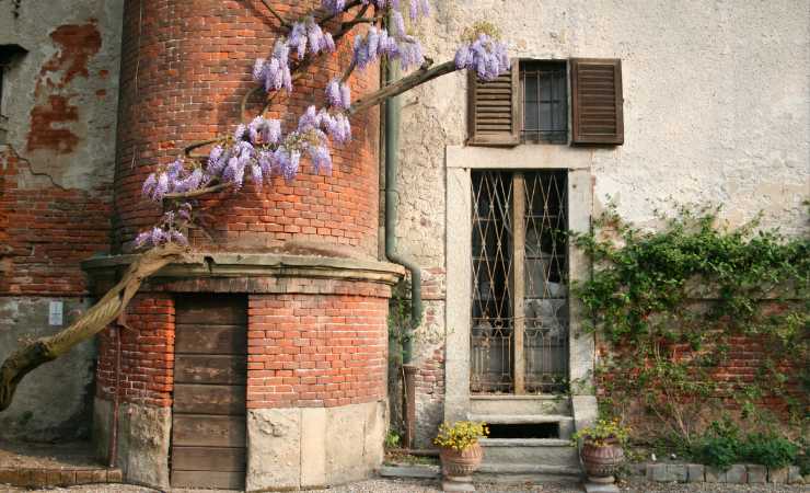 Orto botanico di Brera