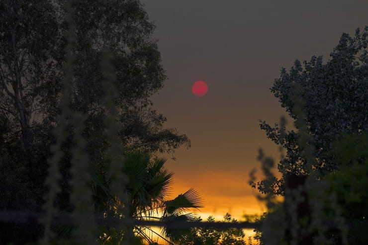Luna rossa nel cielo dietro agli alberi