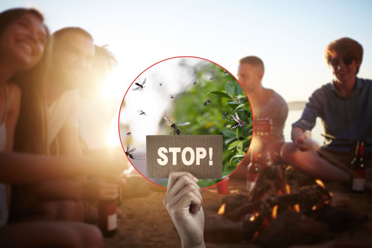 ragazzi seduti al tramonto, zanzare e scritta stop