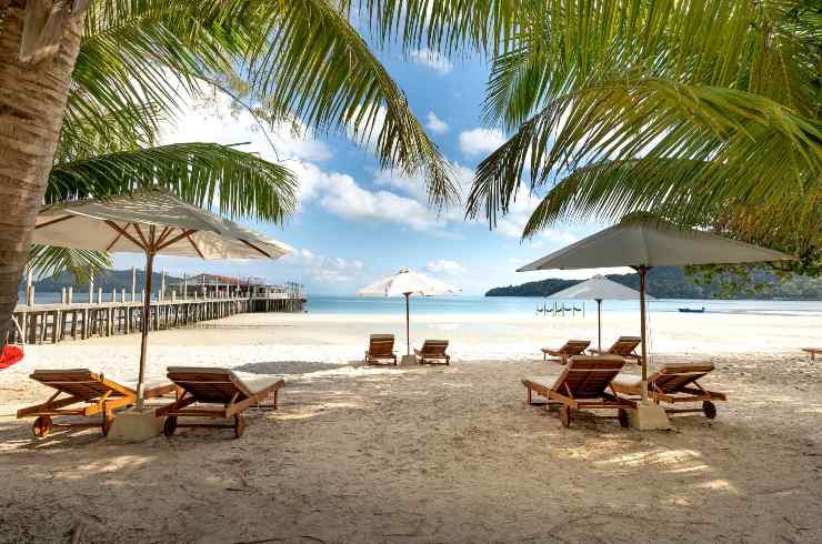 Spiaggia con palme e lettini 