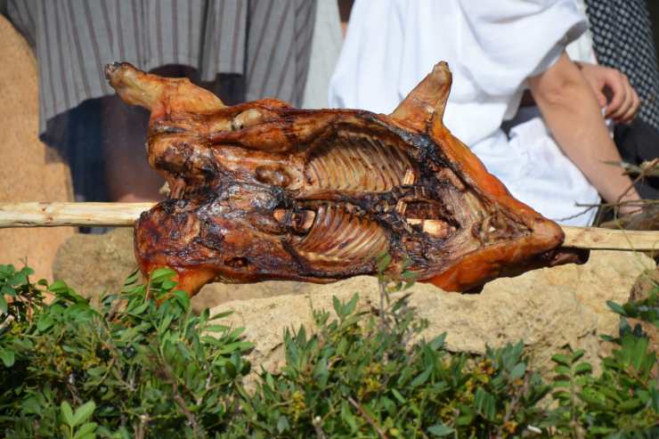 cibi sardi tradizionali maialino