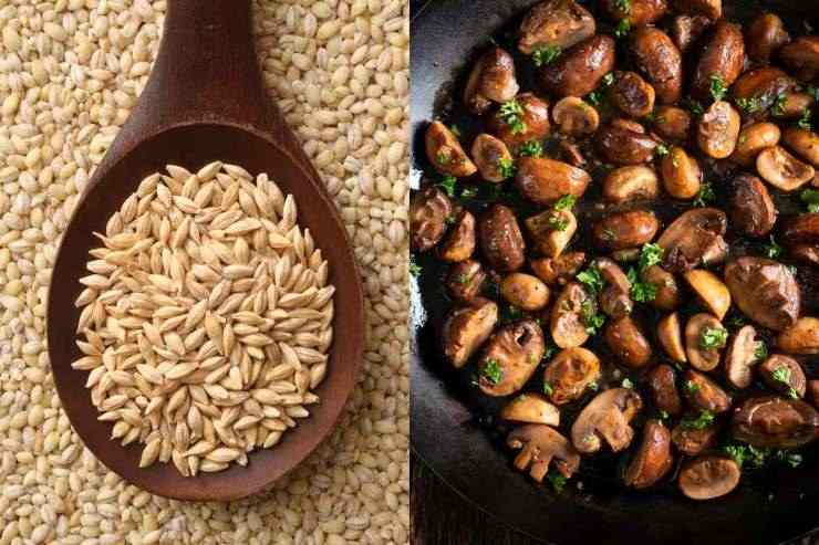 Orzo e funghi