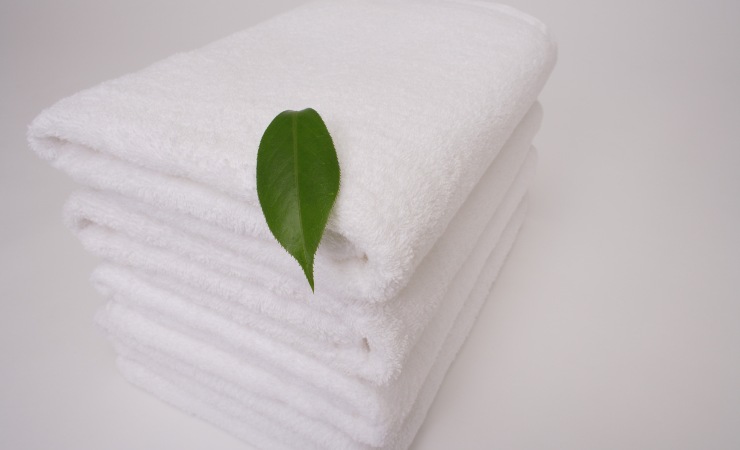 Foglia poggiata su asciugamani pulite