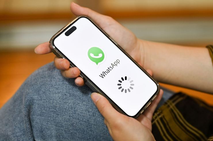 WhatsApp e grafica di download