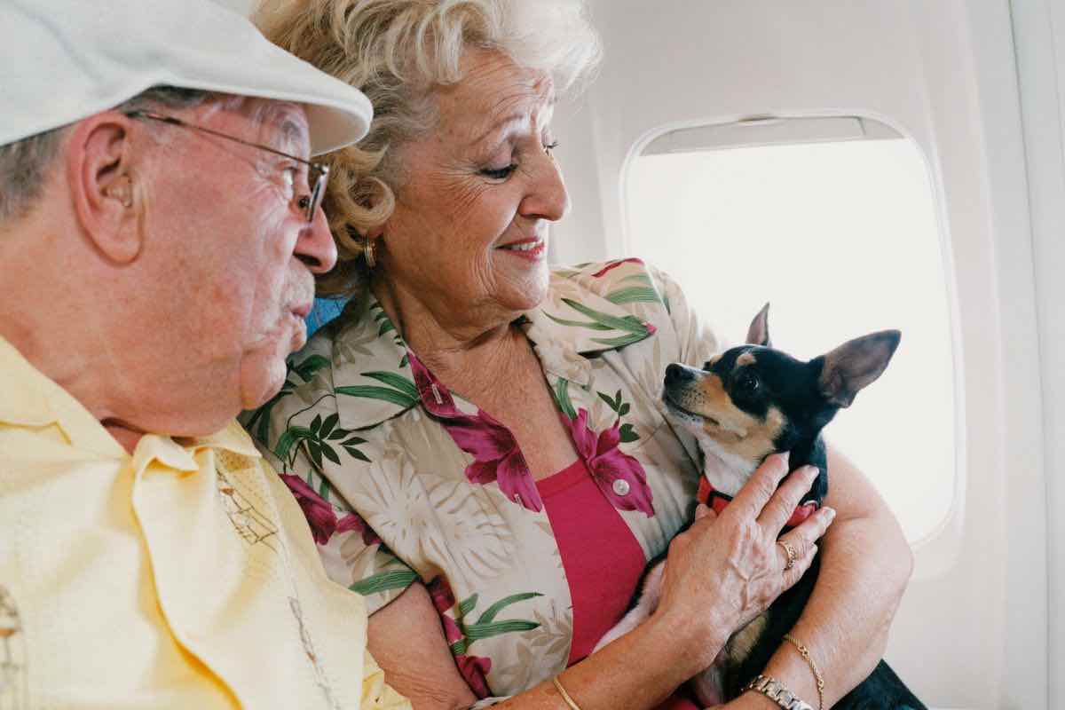 Coppia anziani con cane in aereo