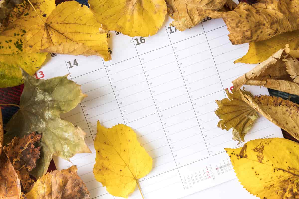 Foglie gialle disposte attorno a un calendario
