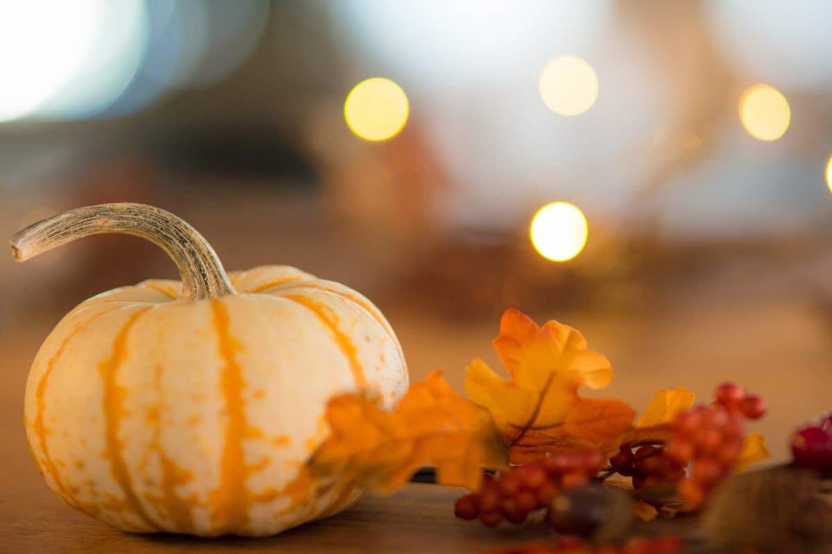 Zucca finta e foglie secche 