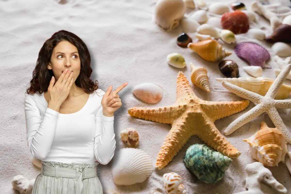 Conchiglie e donna che indica