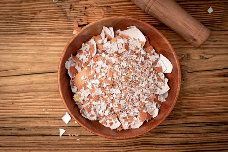 gusci di uovo tritati