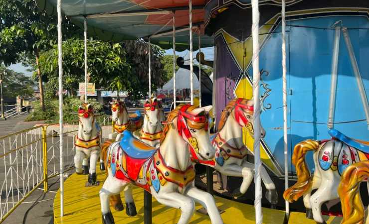 Giostra con cavallucci