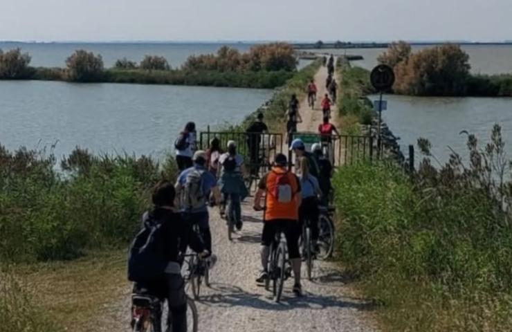 escursioni sul delta del po