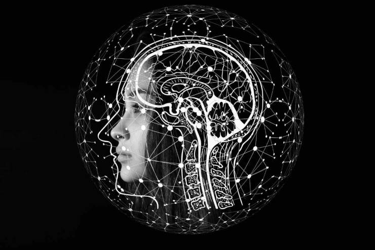 Cervello e connessioni