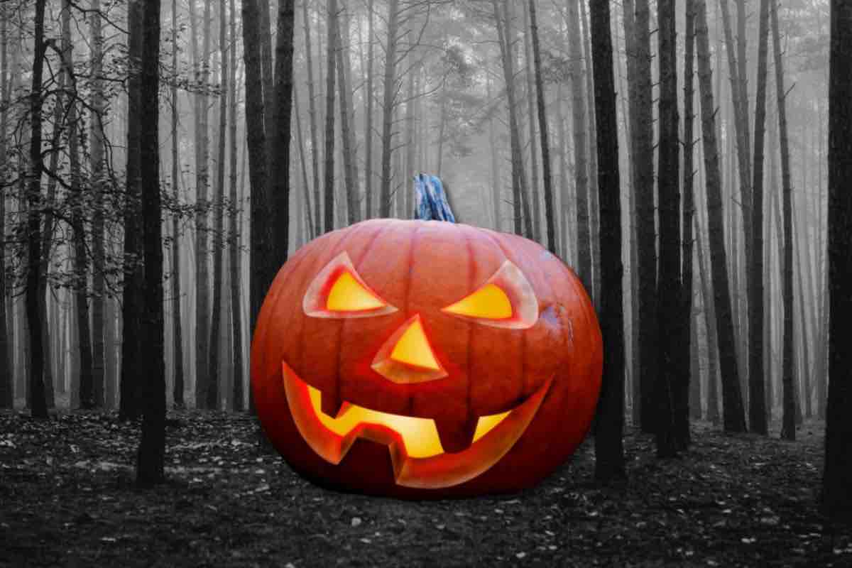 Foresta e zucca di Halloween