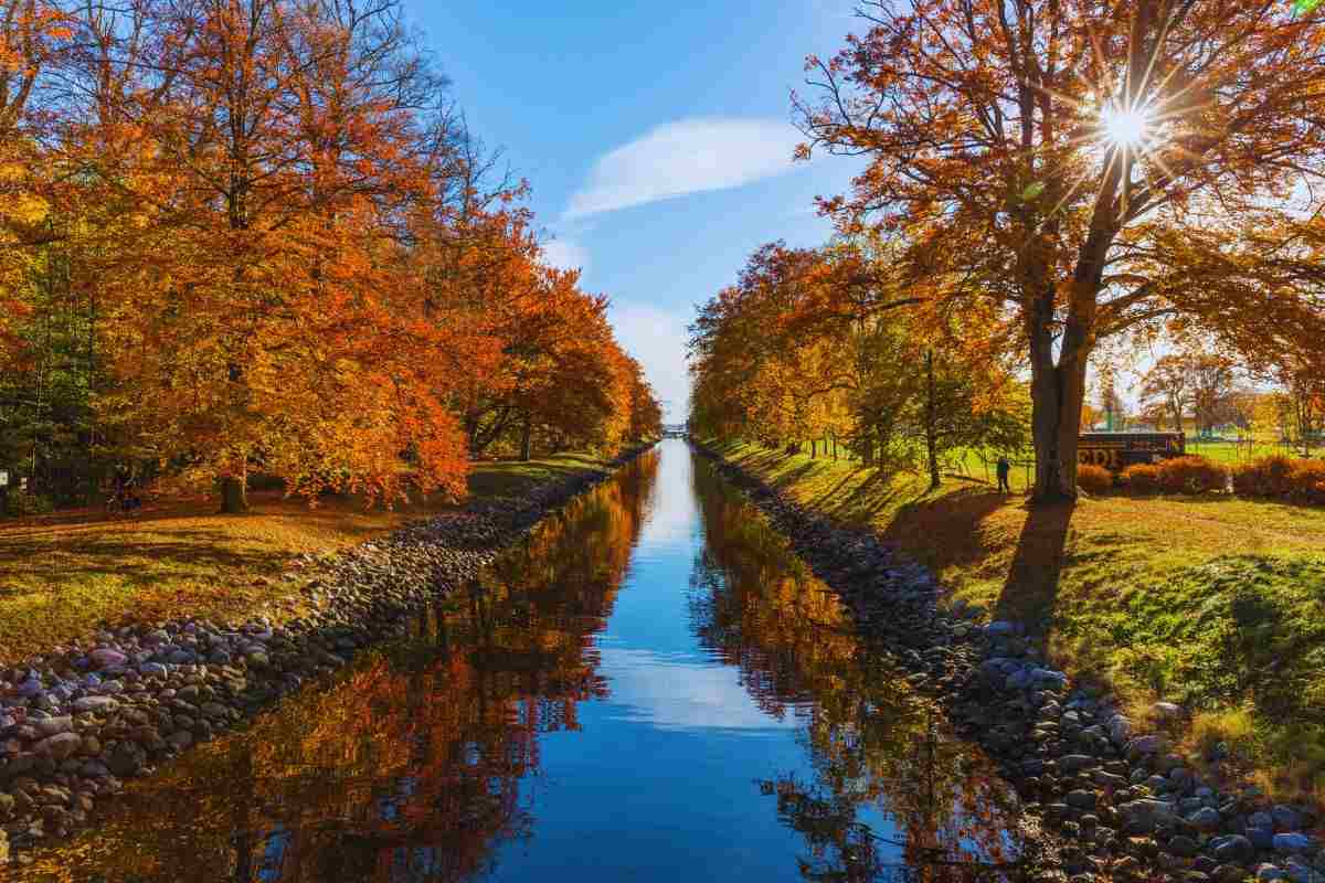 Paesaggio boschivo in autunno