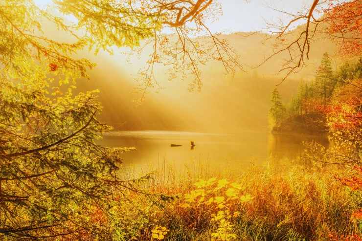 Lago attorniato da foglie gialle e marroni e baciato dal sole