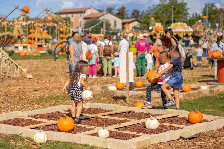 bambini al parco delle zucche, Bussolengo