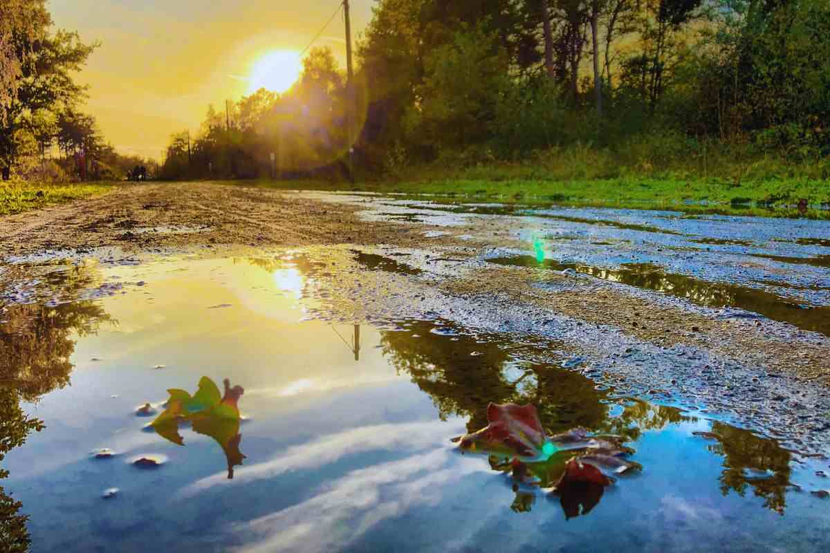 Sole che fa capolino in cielo illuminando una zona boschiva bagnata dalla pioggia
