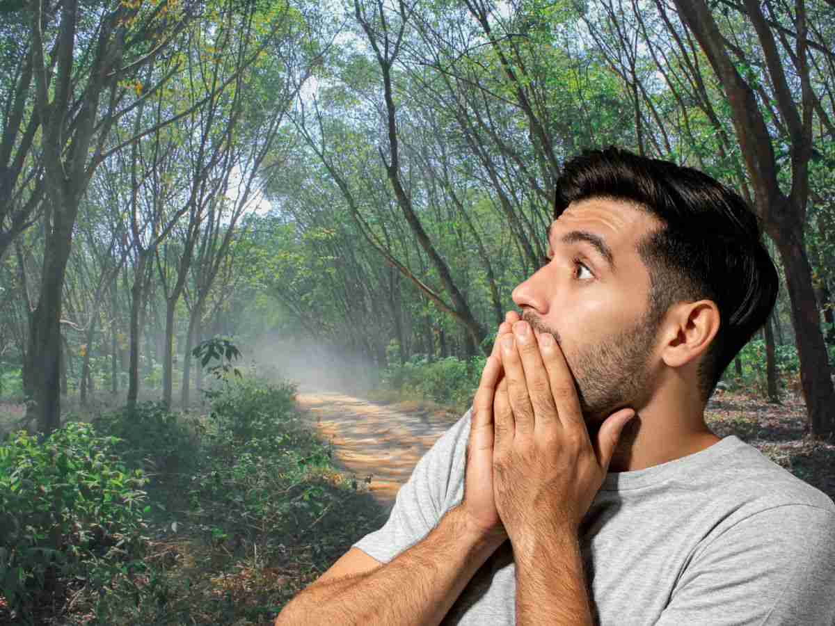 sfondo alberi e uomo con mani in faccia stupito