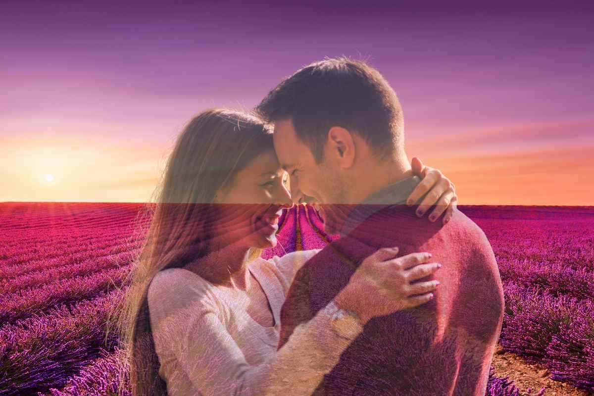 Coppia e campi di lavanda