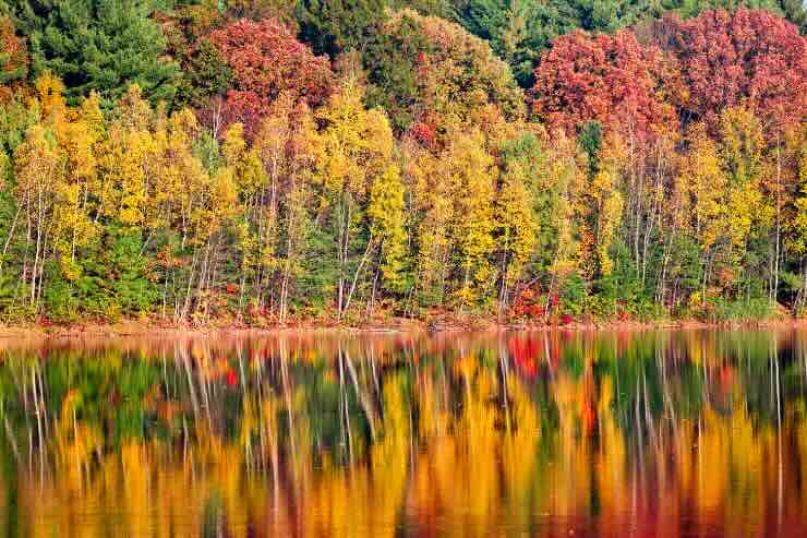 lago e alberi con foliage