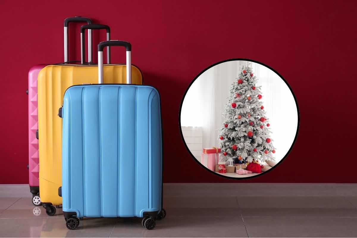 Valigie e albero di Natale