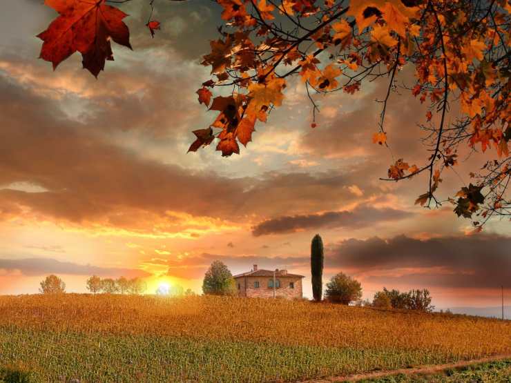 paesaggio autunnale 