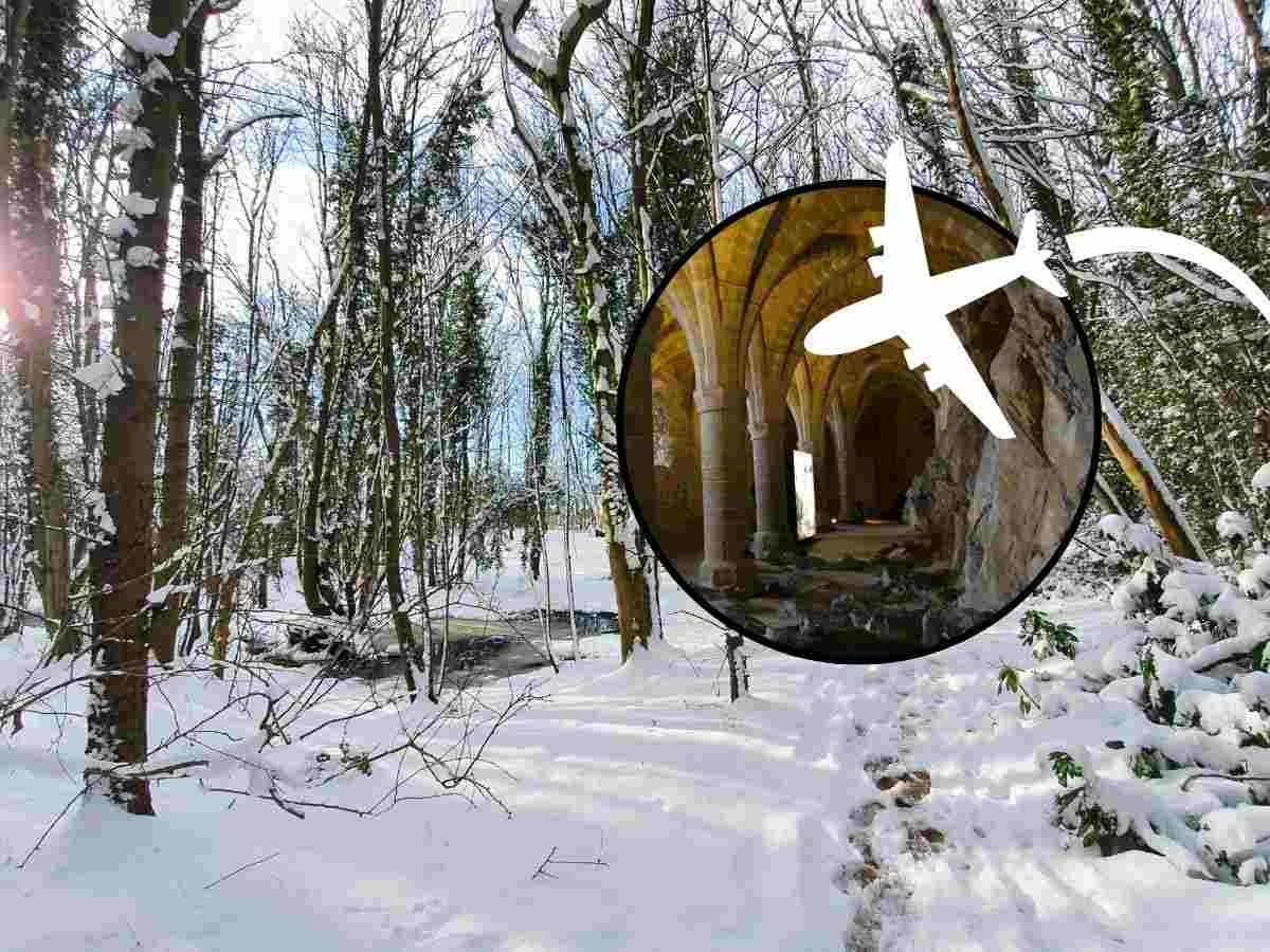 sfondo bosco innevato e tondo con archi medievali e simbolo aereo che vola