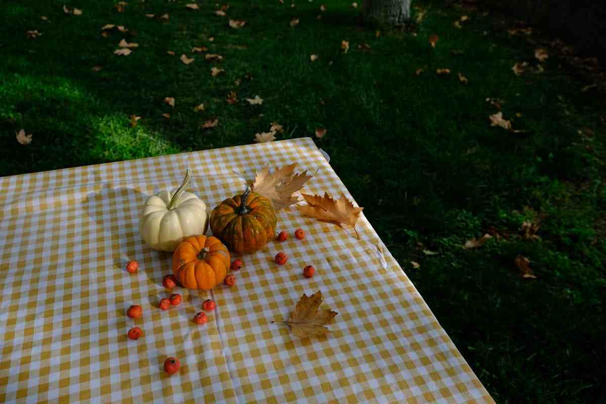 pic nic con zucchette