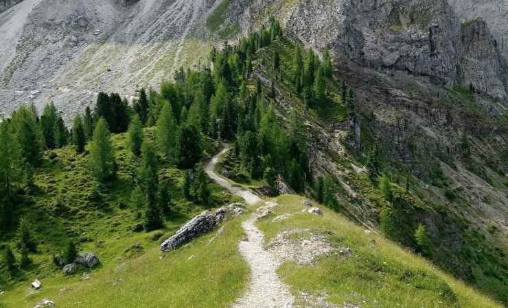 sentiero in Italia 