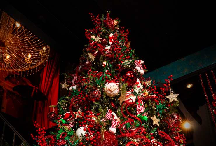 Albero di Natale dentro a Linea Verde, Bergamo