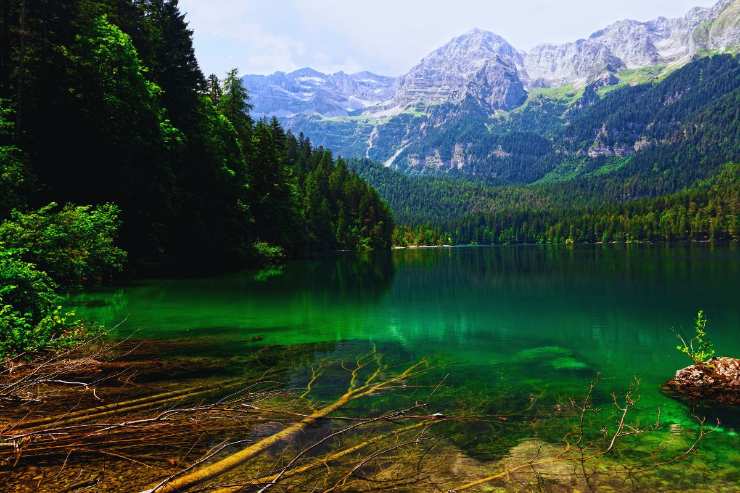 Parco Naturale Adamello Brenta