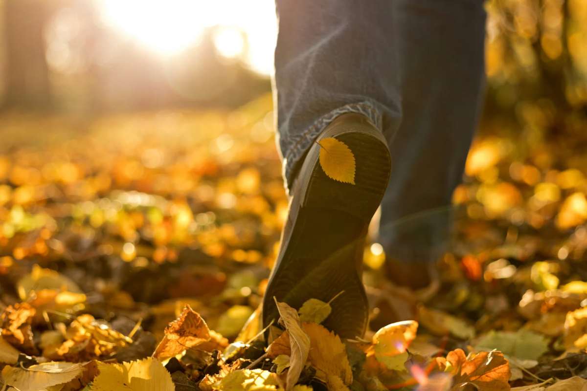 Persona che cammina tra le foglie gialle cadute