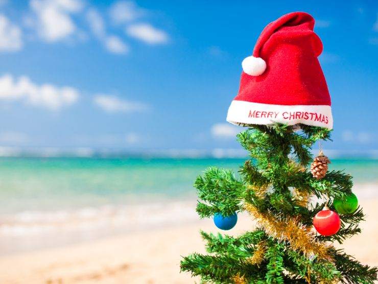 spiaggia esotica e albero di natale