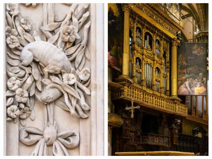 facciata esterna e organo nel duomo di milano