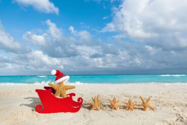 spiaggia esotica slitta con stelle di mare